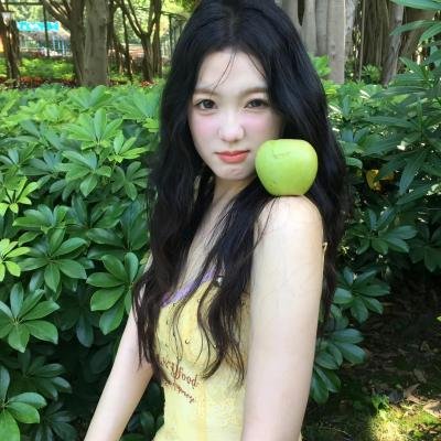 月季花开